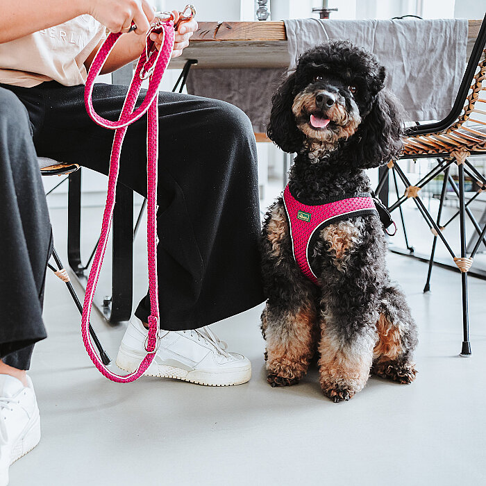 Hunter Köpek Göğüs Tasması Hilo Comfort Pembe Siyah XS-S - 4