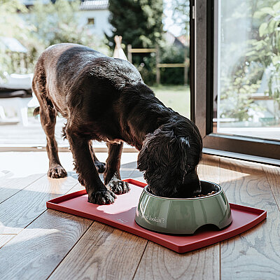 Hunter Köpek Mama Kabı Chester Pembe 350ml - 5