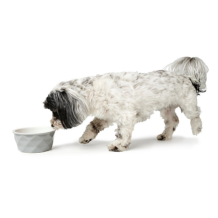 Hunter Köpek Mama Kabı Eiby Gri 1100ml - 5
