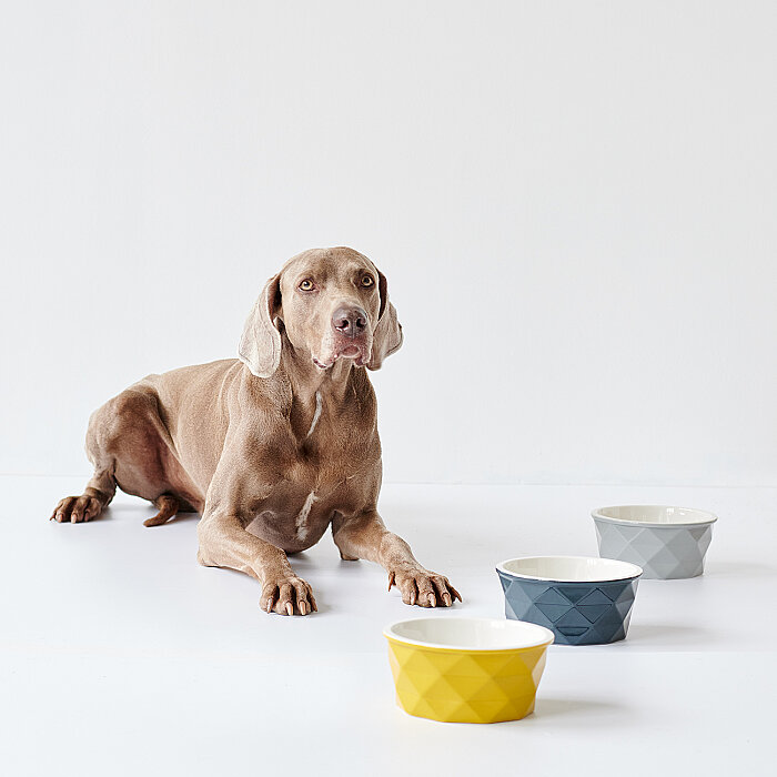 Hunter Köpek Mama Kabı Eiby Gri 1100ml - 6