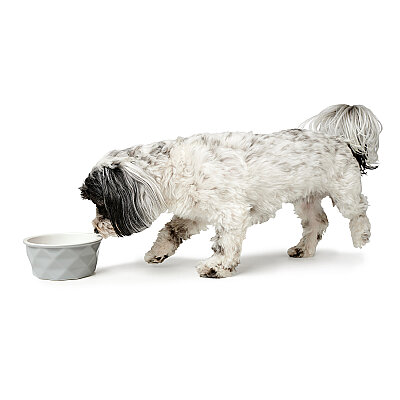 Hunter Köpek Mama Kabı Eiby Gri 350ml - 5