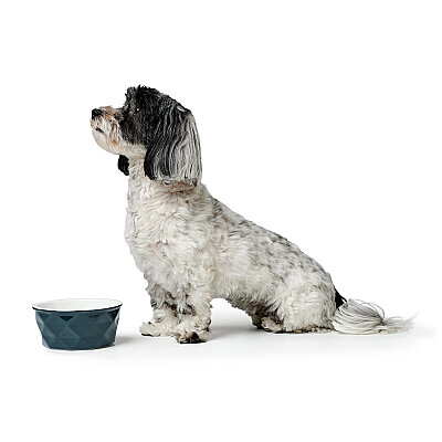 Hunter Köpek Mama Kabı Eiby Mavi 1100ml - 5