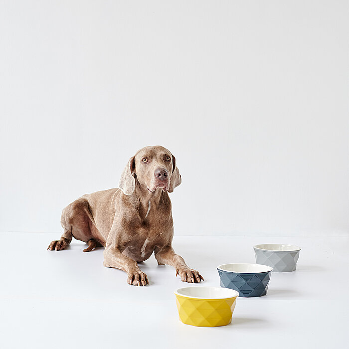 Hunter Köpek Mama Kabı Eiby Sarı 1100ml - 4