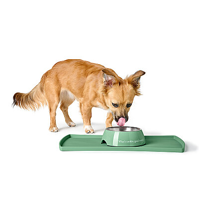 Hunter Köpek Mama Kabı Kington Yeşil 160ml - 4
