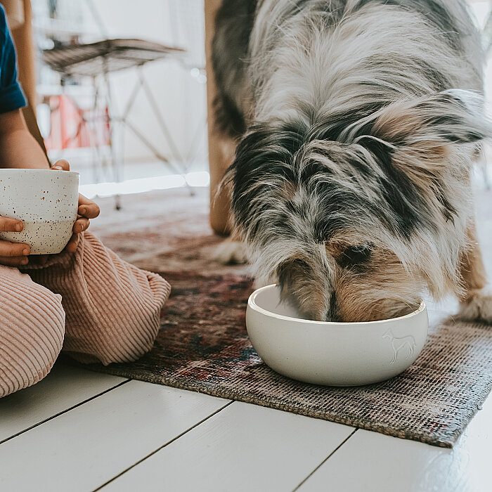 Hunter Köpek Mama Kabı Lund Beyaz 310ml - 6