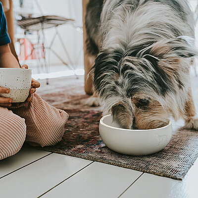 Hunter Köpek Mama Kabı Lund Beyaz 550ml - 6