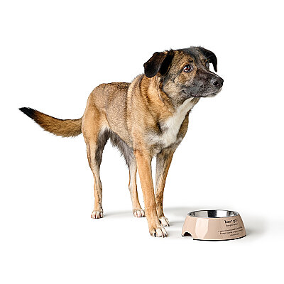 Hunter Köpek Mama Kabı Luton Bej 700ml - 5
