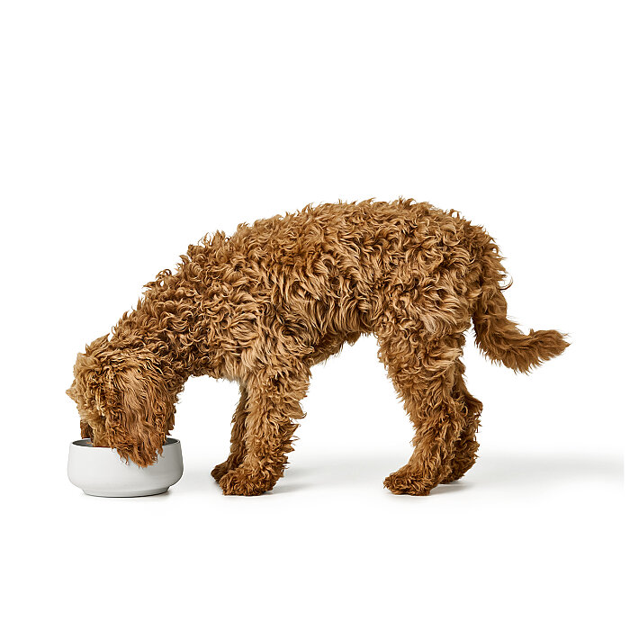 Hunter Köpek Mama Kabı Mora Beyaz 160ml - 4