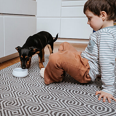 Hunter Köpek Mama Kabı Mora Beyaz 160ml - 6