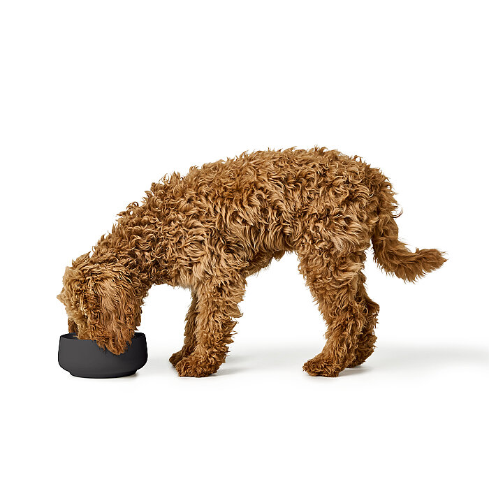 Hunter Köpek Mama Kabı Mora Siyah 350ml - 4