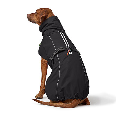 Hunter Köpek Montu Nordby Siyah 40 - 5