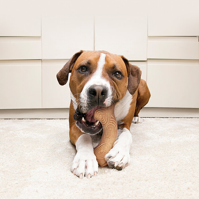 KONG ChewStix Ağaç Dalı Şeklinde Köpek Oyuncağı L - 3