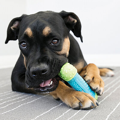 KONG CoreStrength Kemik Şeklinde Köpek Oyuncağı M/L - 3