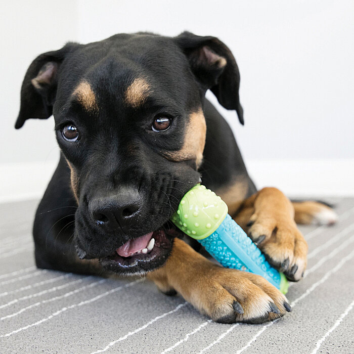 KONG CoreStrength Kemik Şeklinde Köpek Oyuncağı M/L - 3