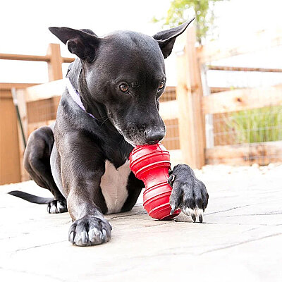 KONG Dental Diş Temizliği Sağlayan Köpek Oyuncağı L - 2