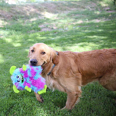 KONG Frizzles Razzle Sevimli Canavar Sesli Peluş Köpek Oyuncağı M - 4