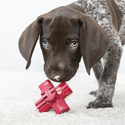 KONG Jump'N Jack Köpekler için Çok Amaçlı Isırma Oyuncağı L - 3