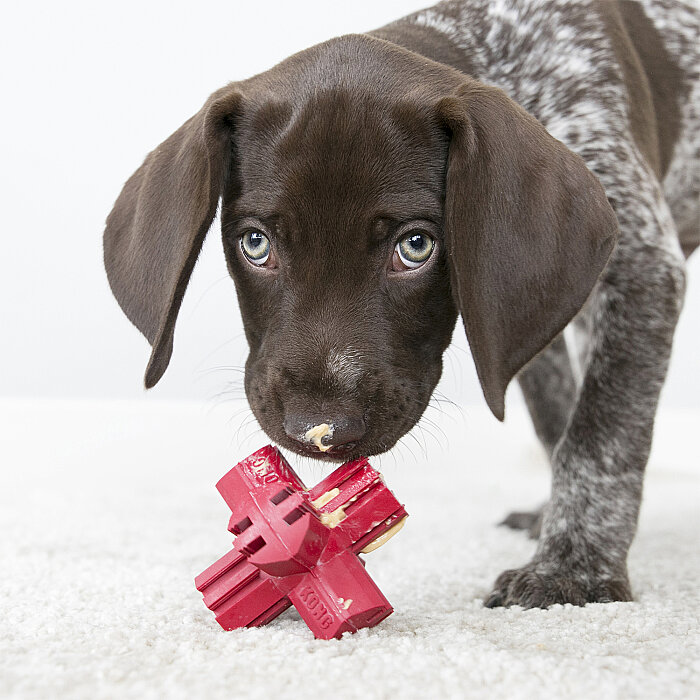 KONG Jump'N Jack Köpekler için Çok Amaçlı Isırma Oyuncağı L - 3