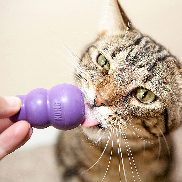 KONG Kitty Klasik KONG Şeklinde Kedi Oyuncağı - 3