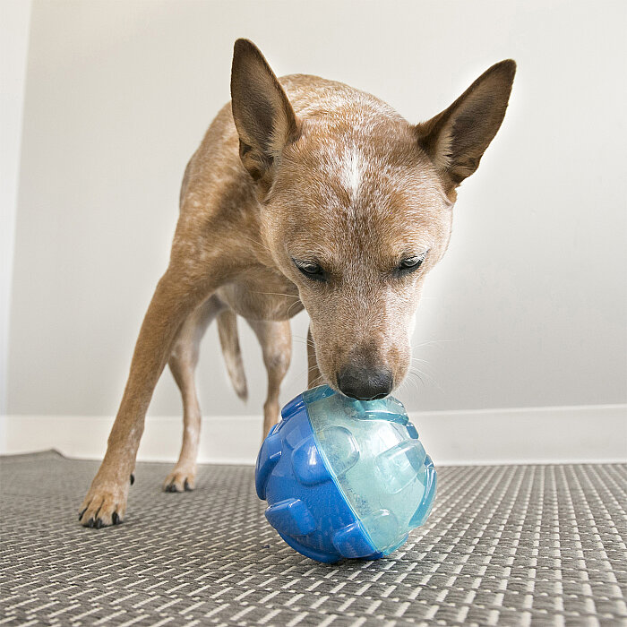 KONG Rewards Ball Köpekler için Ödül Maması Dağıtma Oyuncağı L - 4