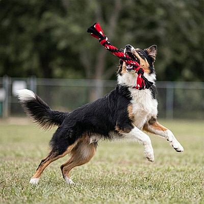 KONG Signature Rope Çift Düğümlü İp Köpek Oyuncağı 50 cm - 3