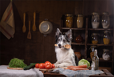 Köpeklerin Yiyebileceği Sebzeler Nelerdir?