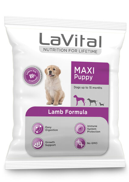 LaVital Büyük Irk Yavru Kuru Köpek Maması (Maxi Puppy) Kuzu Etli 100GR