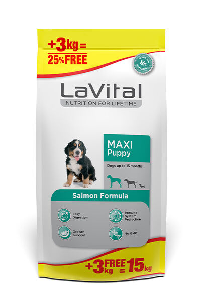 LaVital Büyük Irk Yavru Kuru Köpek Maması (Maxi Puppy) Somonlu 12+3KG