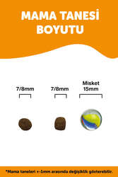 LaVital Büyük Irk Yavru Kuru Köpek Maması (Maxi Puppy) Somonlu 13+2 KG Hediye - Thumbnail