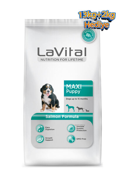 LaVital Büyük Irk Yavru Kuru Köpek Maması (Maxi Puppy) Somonlu 13+2 KG Hediye