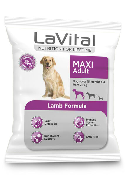 LaVital Büyük Irk Yetişkin Kuru Köpek Maması (Maxi Adult) Kuzu Etli 100GR