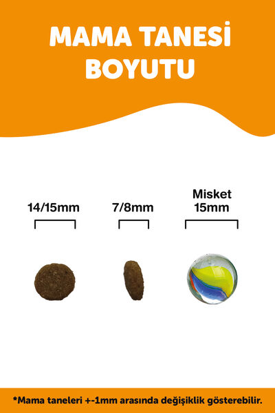 LaVital Büyük Irk Yetişkin Kuru Köpek Maması (Maxi Adult) Kuzu Etli 13+2 KG Hediye