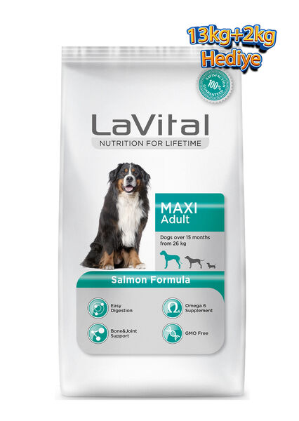LaVital Büyük Irk Yetişkin Kuru Köpek Maması (Maxi Adult) Somonlu 13+2 KG Hediye