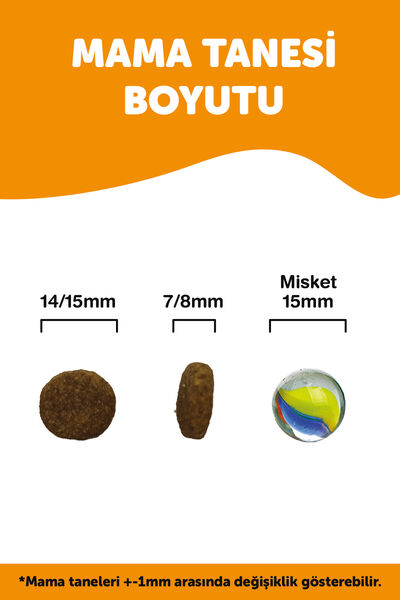 LaVital Büyük Irk Yetişkin Kuru Köpek Maması (Maxi Adult) Somonlu 13+2 KG Hediye