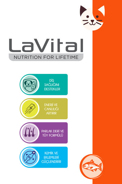LaVital Kedi Ödül Maması Somonlu 80g