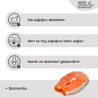 LaVital Kedi Ödül Maması Somonlu 80g (1)