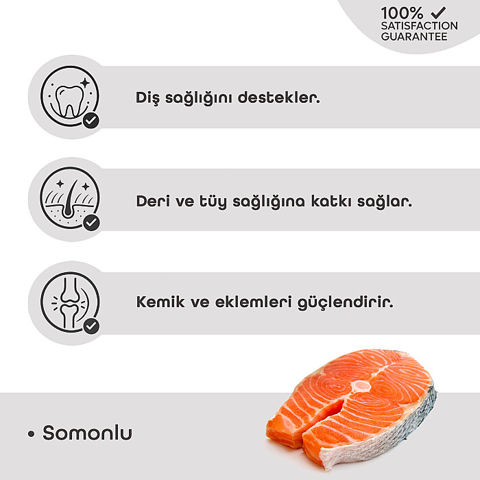 LaVital Kedi Ödül Maması Somonlu 80g - 2