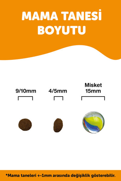 LaVital Kısırlaştırılmış Kuru Kedi Maması (Sterilised Adult) Kuzu Etli 12 KG + KÜÇÜK PAKET 1,5 KG