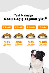 LaVital Küçük Irk Yavru Kuru Köpek Maması (Mini Puppy) Kuzu Etli 6+1 KG - Thumbnail