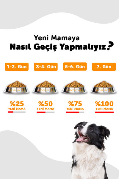 LaVital Küçük Irk Yavru Kuru Köpek Maması (Mini Puppy) Kuzu Etli 6+1 KG