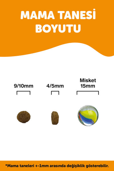 LaVital Küçük Irk Yetişkin Kuru Köpek Maması (Mini Adult) Kuzu Etli 6+1 KG