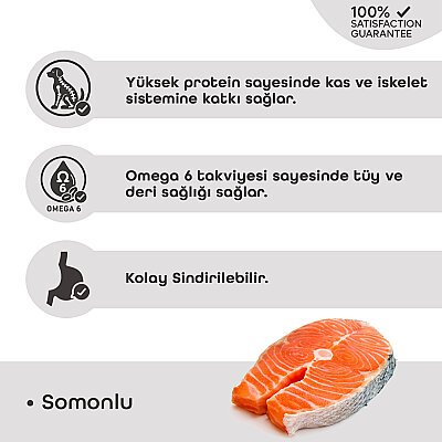 LaVital Orta Irk Yetişkin Kuru Köpek Maması (Medium Adult) Somonlu 3KG - 3