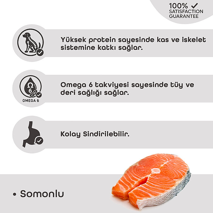 LaVital Orta Irk Yetişkin Kuru Köpek Maması (Medium Adult) Somonlu 3KG - 3