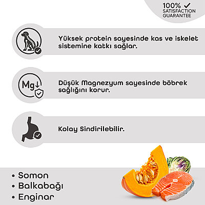 Lavital Somonlu, Balkabağı ve Enginarlı Sterilised Yetişkin Kedi Konservesi 85GR (1)