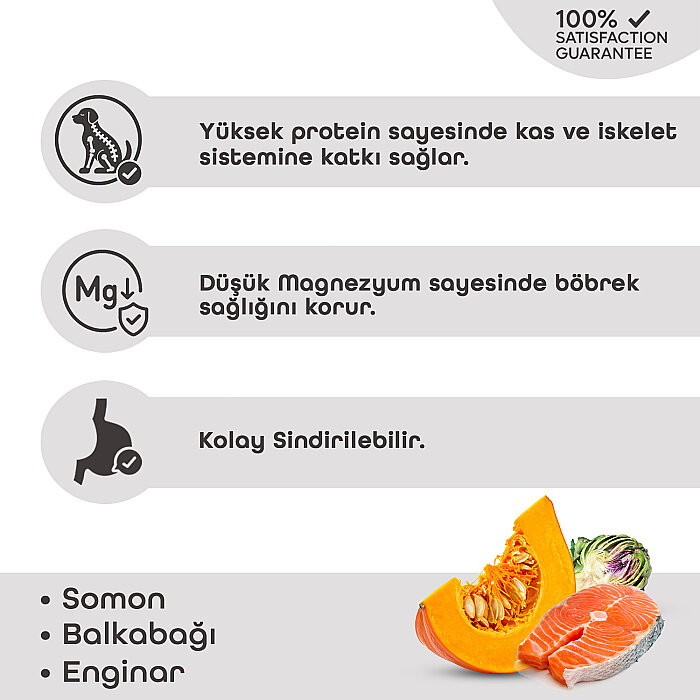 Lavital Somonlu, Balkabağı ve Enginarlı Sterilised Yetişkin Kedi Konservesi 85GR - 2