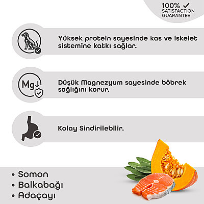 Lavital Somonlu, Balkabaklı ve Adaçaylı Mini Irk Yetişkin Köpek Konservesi 85GR (1)