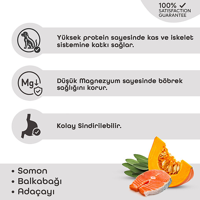 Lavital Somonlu, Balkabaklı ve Adaçaylı Mini Irk Yetişkin Köpek Konservesi 85GR - 2