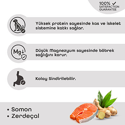 Lavital Somonlu ve Zerdeçallı Yavru Kedi Konservesi  85GR (1)