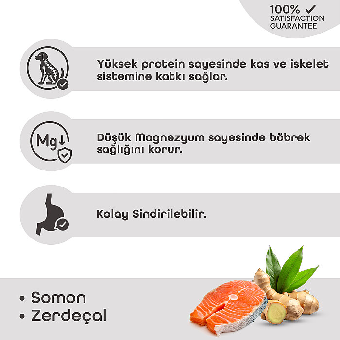 Lavital Somonlu ve Zerdeçallı Yavru Kedi Konservesi  85GR - 2