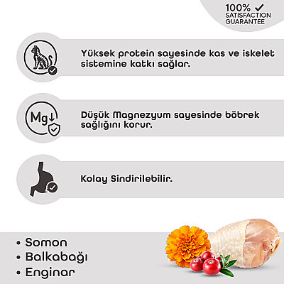 Lavital Tavuklu Kızılcık ve Kadife Çiçekli Sterilised Yetişkin Kedi Konservesi 85GR - 2
